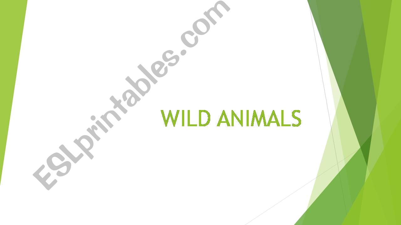 Wild Animals powerpoint