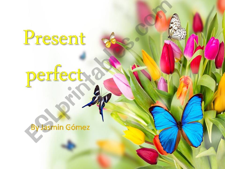 Present Perfect Tense powerpoint