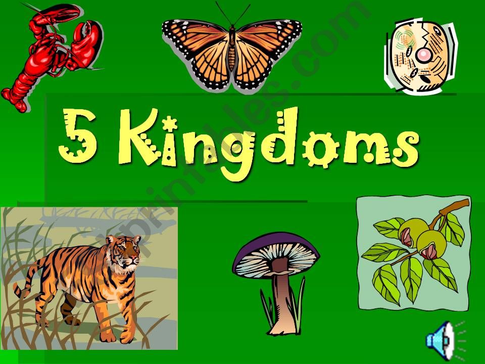 The Five Kingdoms powerpoint
