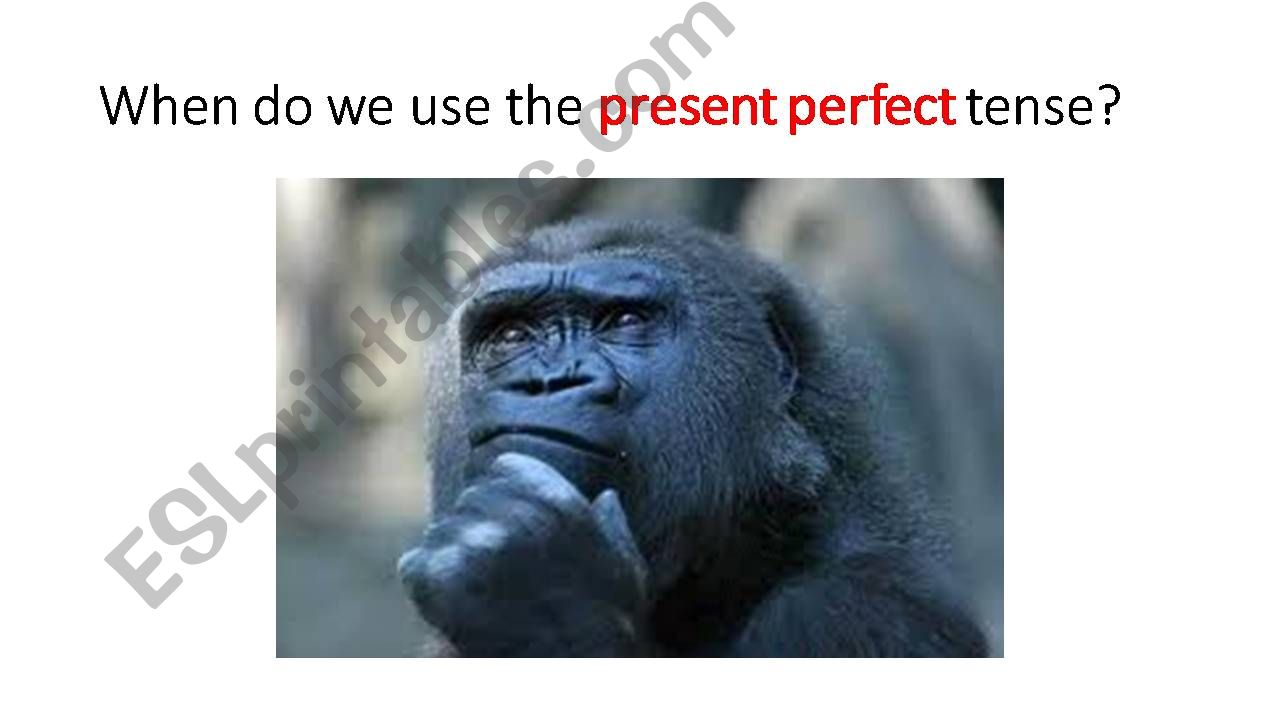 how to use the present perfect simple