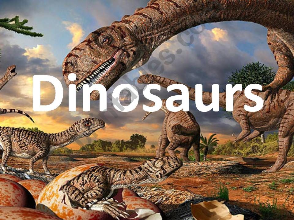 Dinosaurs powerpoint