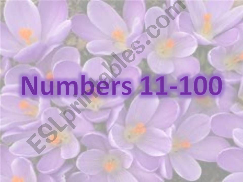 Numbers 11-100 powerpoint
