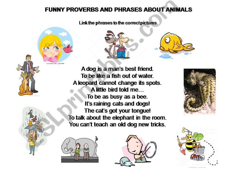 Proverbs powerpoint