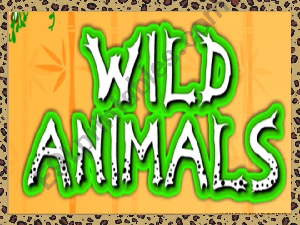 Wild animals powerpoint