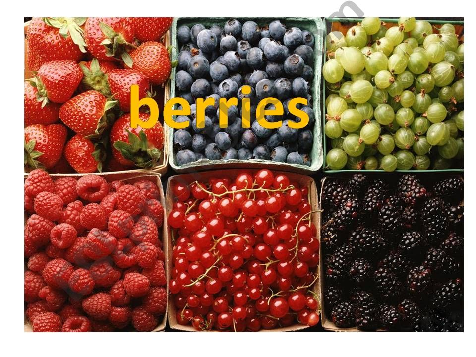 Berries powerpoint
