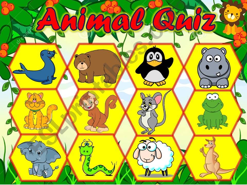 ANIMALS QUIZ - USING 