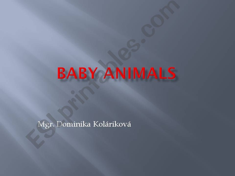 Baby animals powerpoint