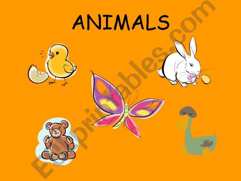 Animals powerpoint