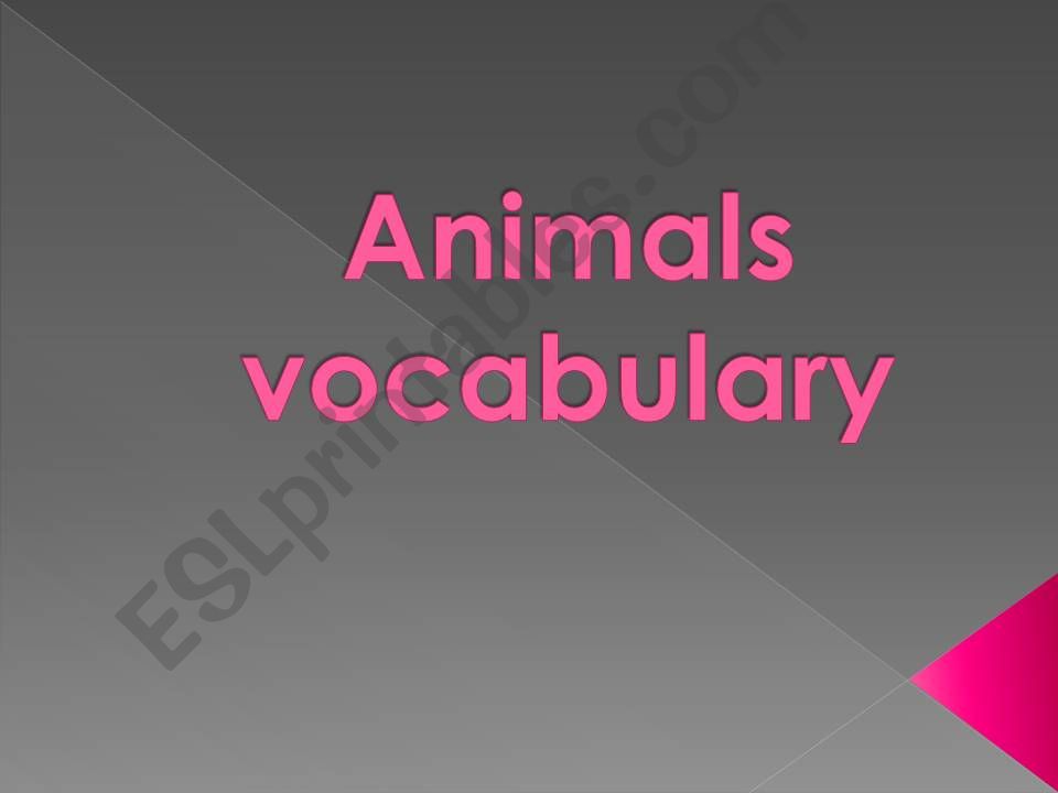 Animals and adjectives powerpoint