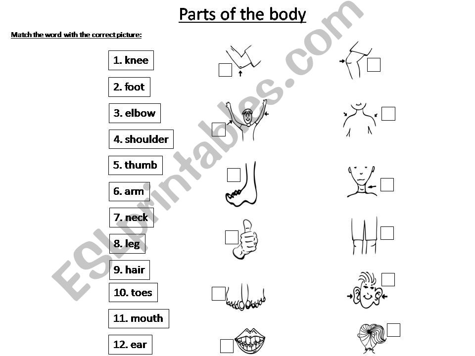 Parts of the body powerpoint