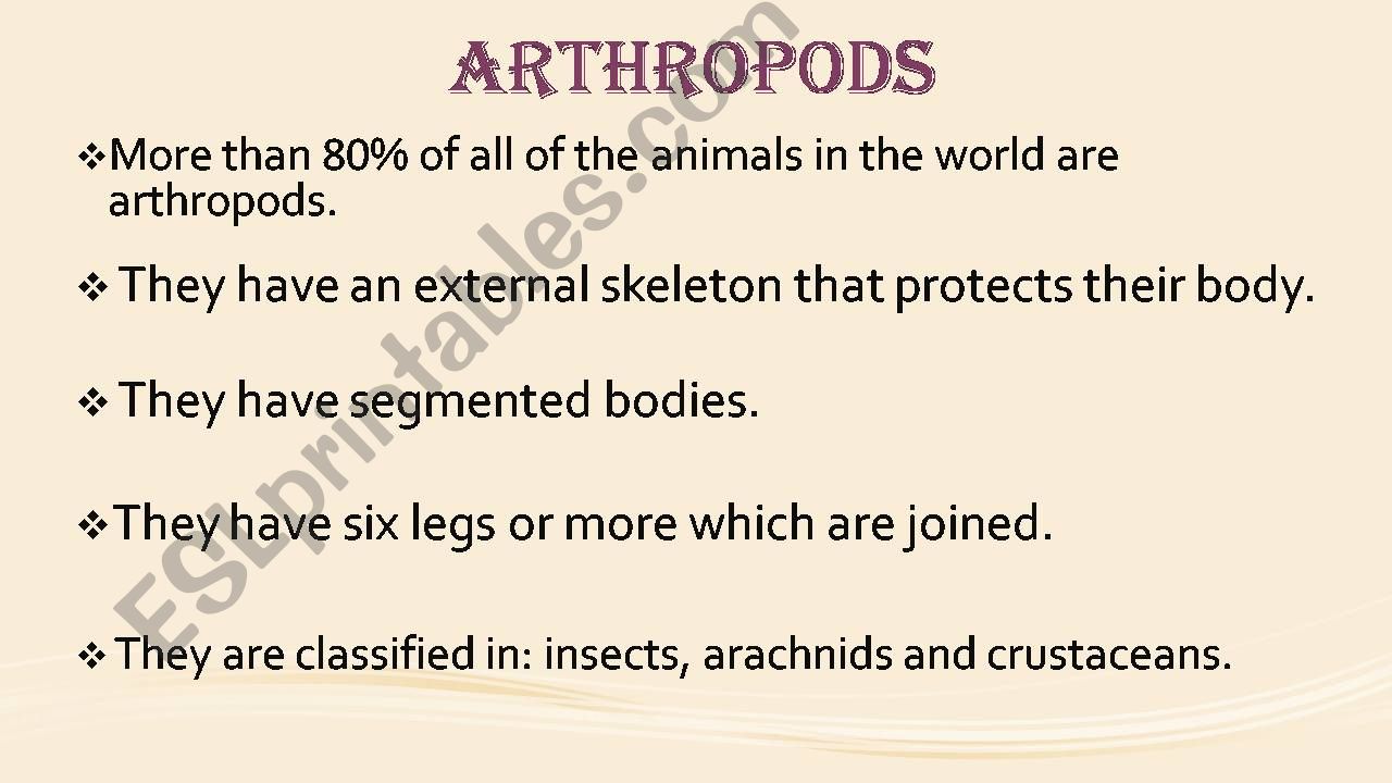 part 2 invertebrates powerpoint
