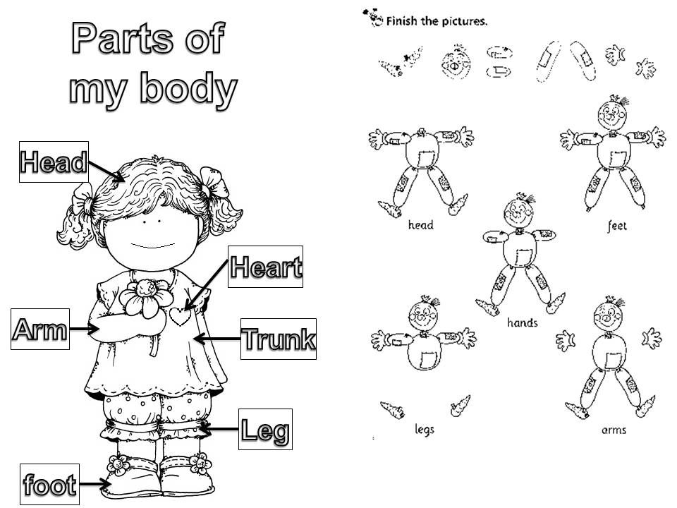 My BODY AND MY FACE powerpoint