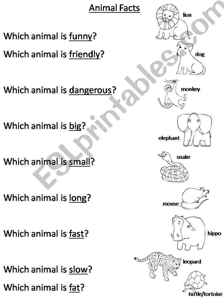 Animal Facts powerpoint