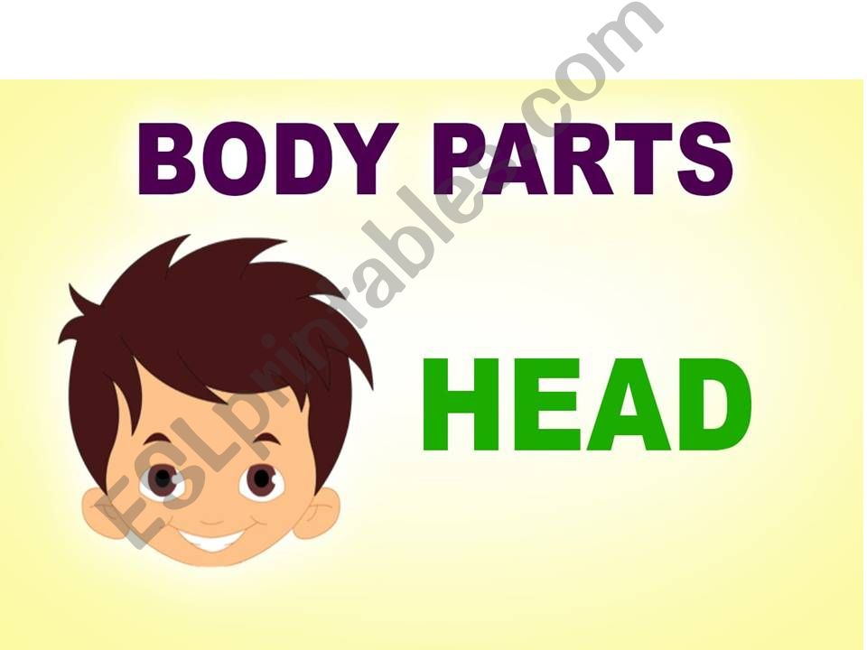 body parts powerpoint