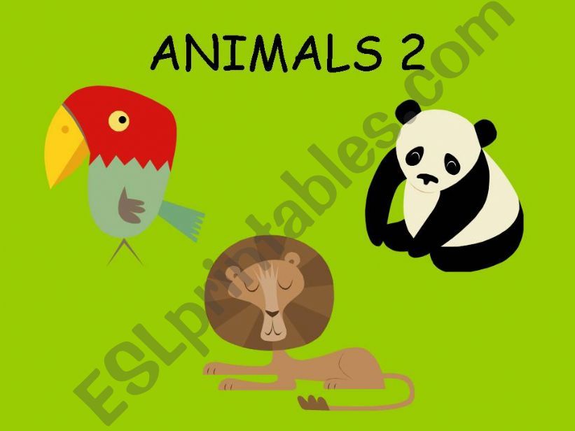 animals 2 powerpoint