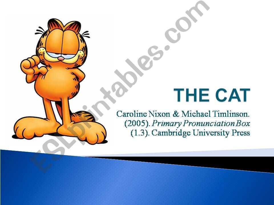 THE CAT powerpoint