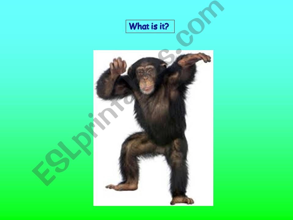 Ugly Animals (organisation) powerpoint