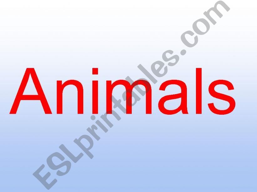 animal ppt powerpoint