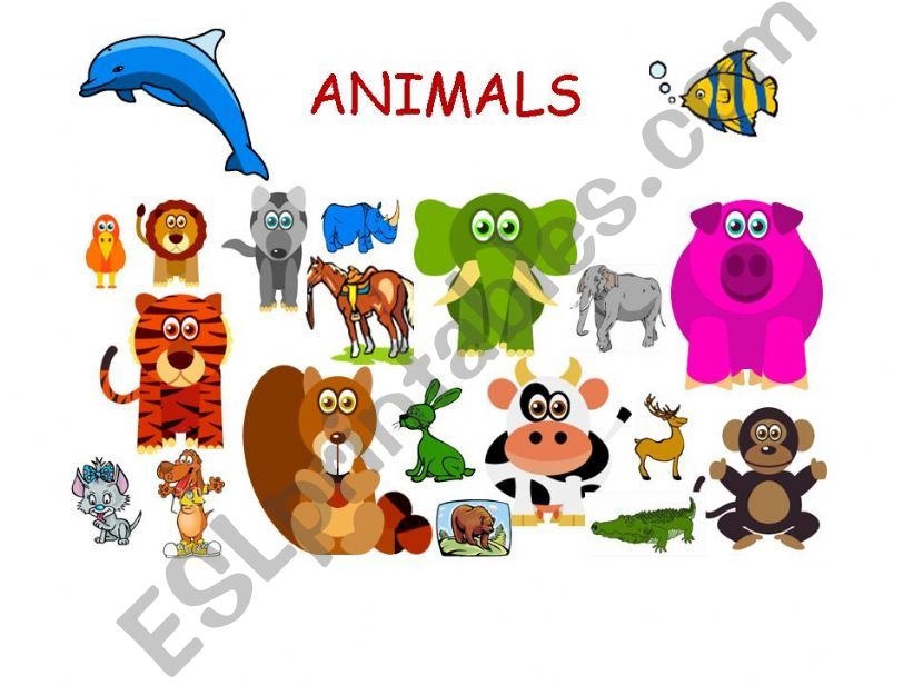 ANIMALS powerpoint