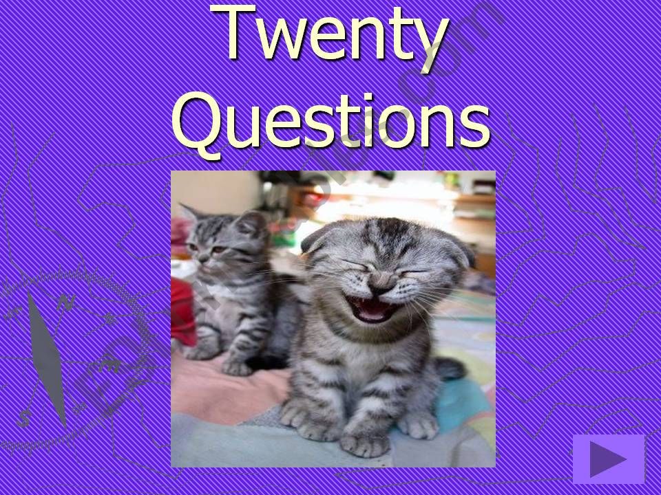 TWENTY QUESTIONS GAME FOR GENERAL KNOWLEDGE OF INTERMEDIATE STUDENTS