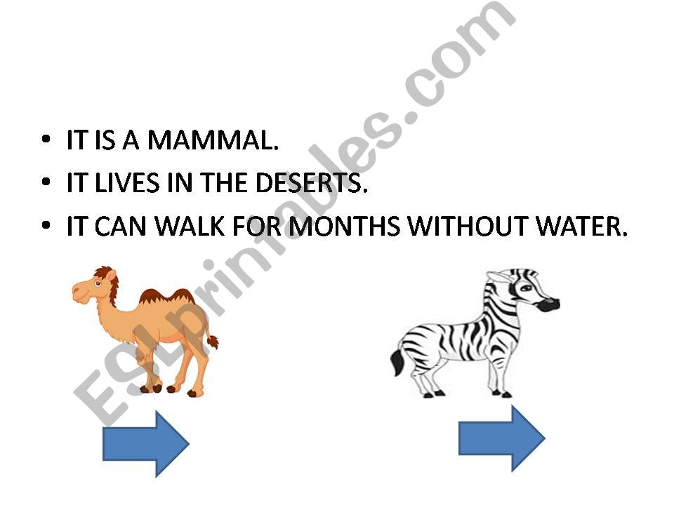 wild animals powerpoint