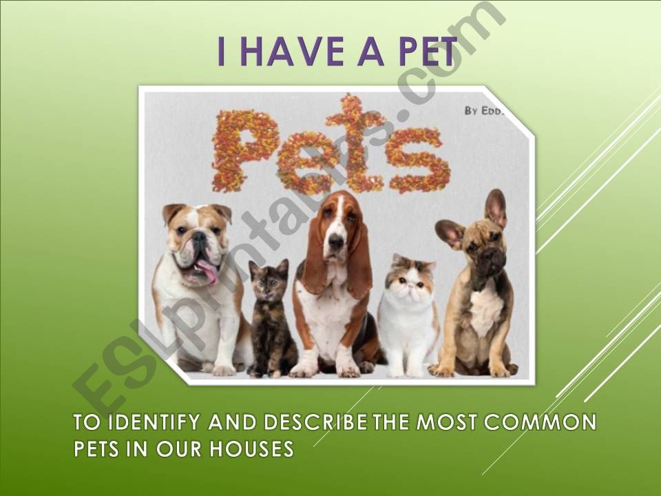 I have a pet powerpoint