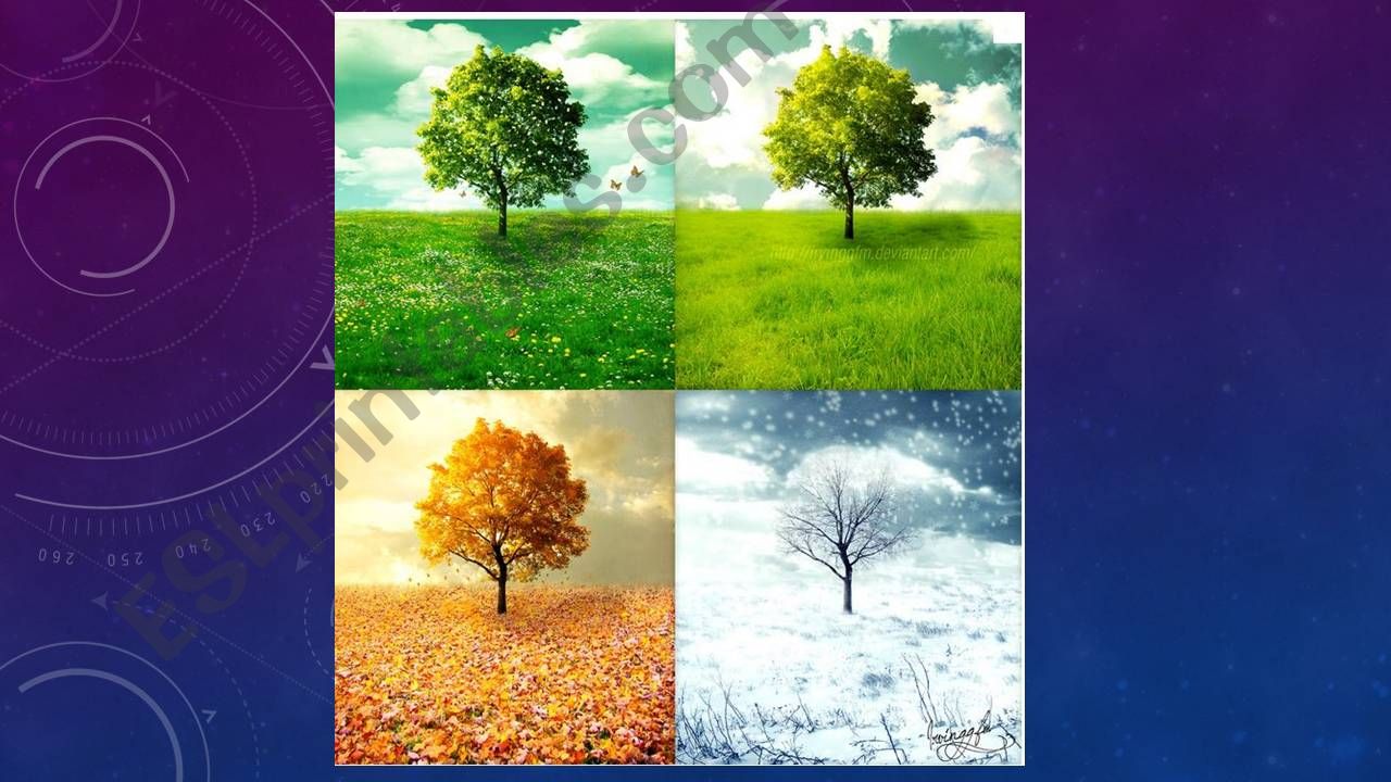 Seasons - whats your favourite season?