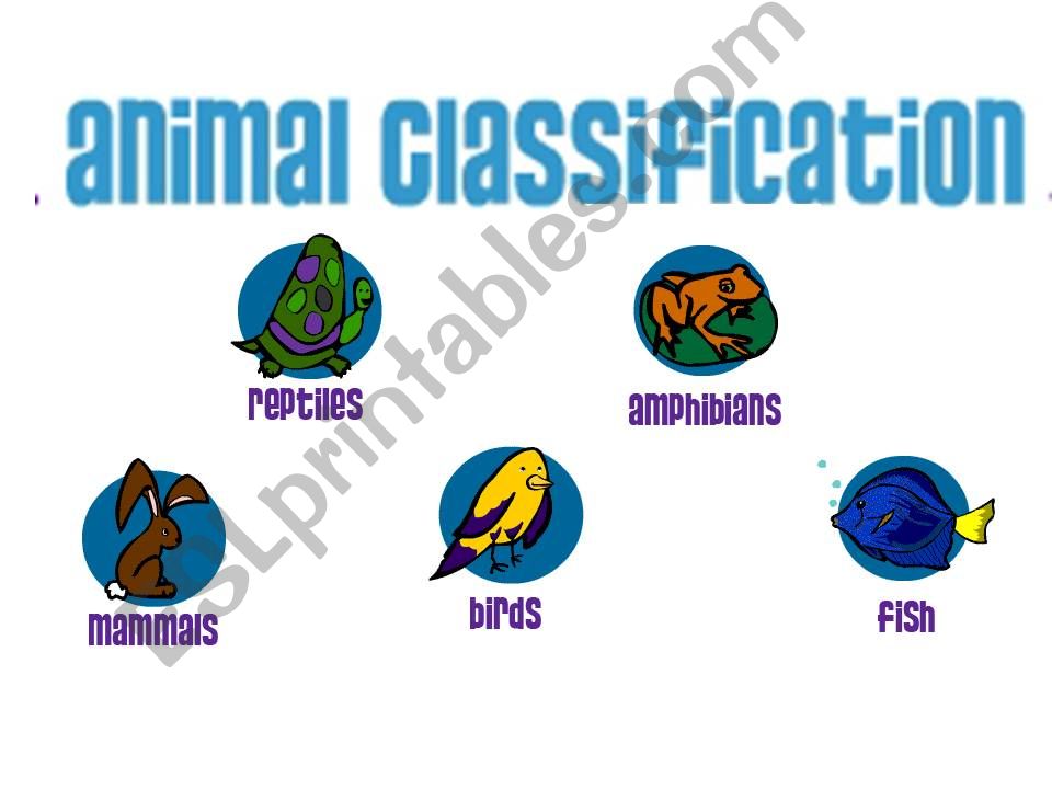 ANIMAL FAMILIES powerpoint