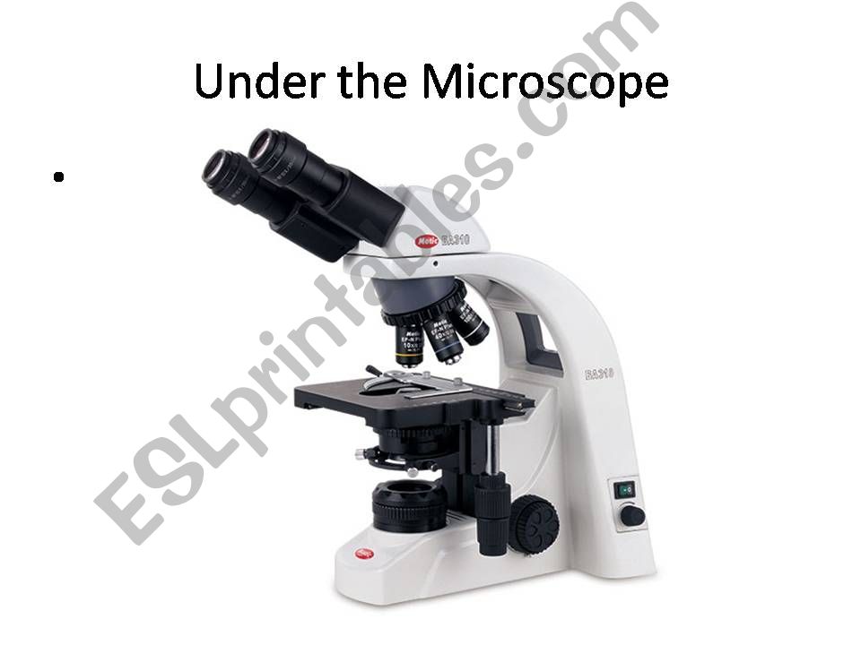 Under the Microscope powerpoint