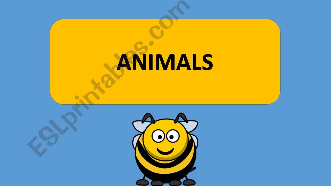 animals flashcards powerpoint