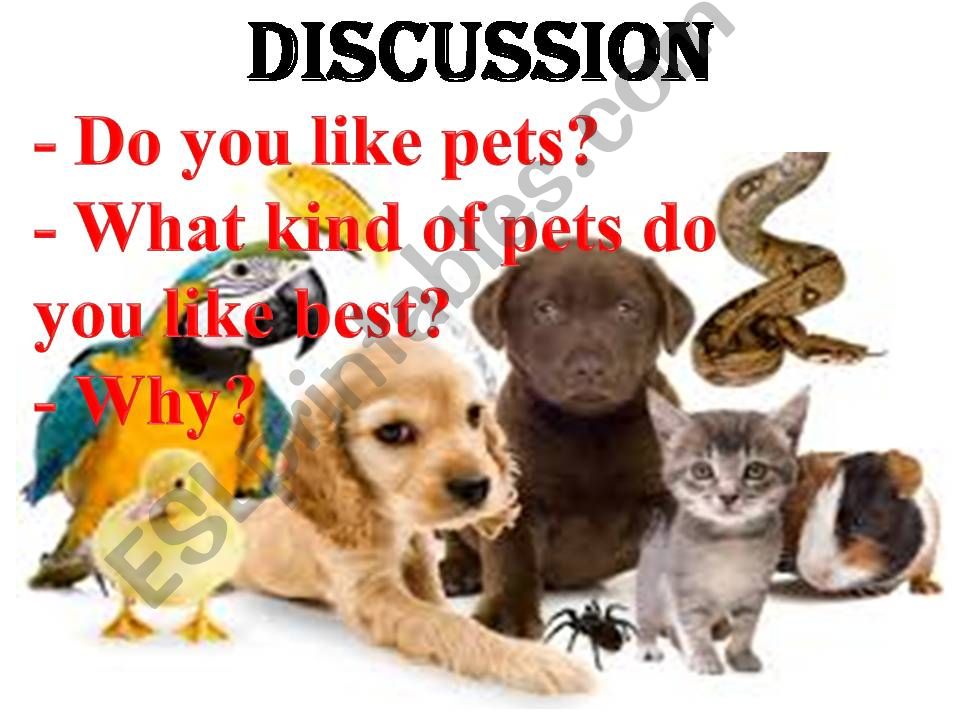 my pet powerpoint