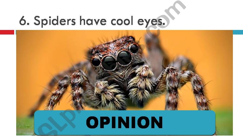 Spiders (Fact or Opinion) - Part II