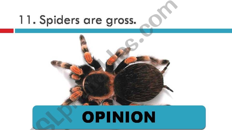 Spiders (Fact or Opinion) - Part III