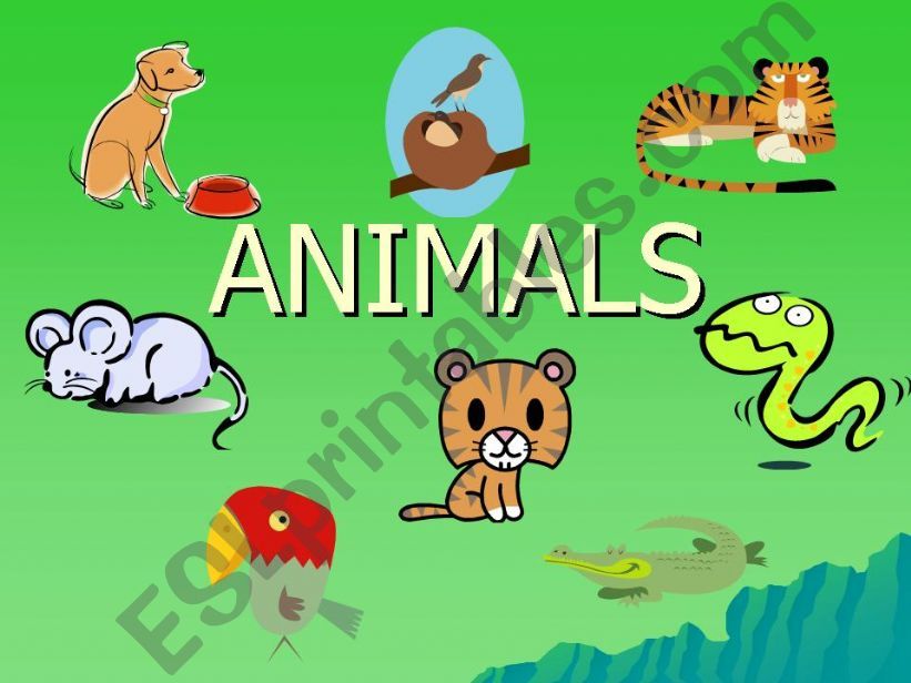 ANIMALS powerpoint