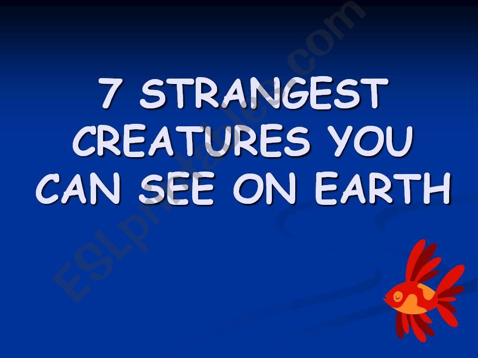 7 Strangest Creatures You Can See in the World