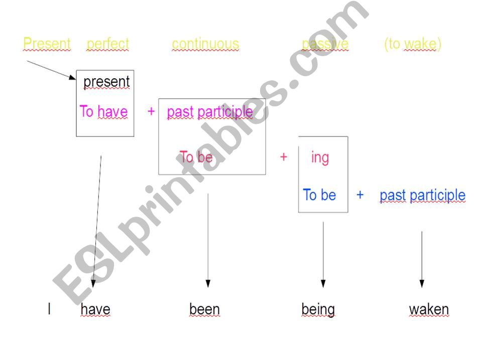  past simple passive powerpoint