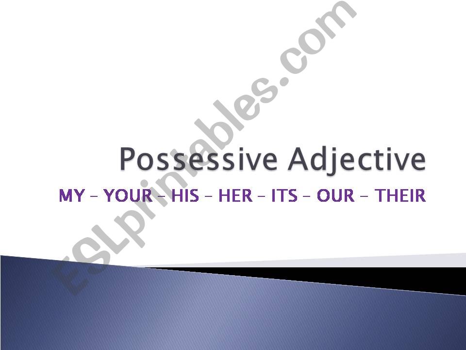 Possessive Adjective Pronouns powerpoint