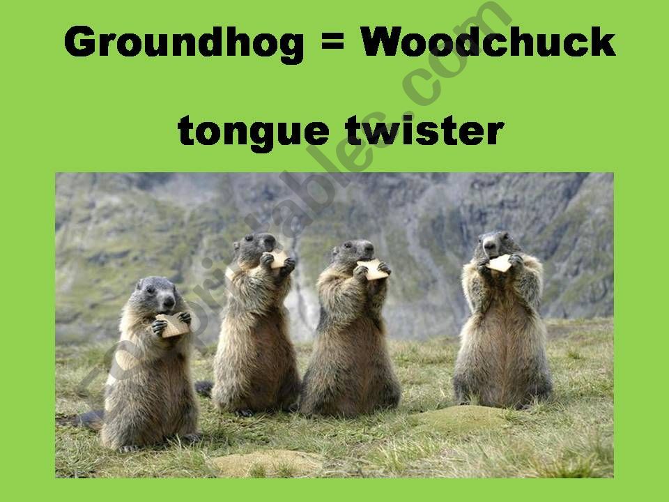 Woodchuck powerpoint