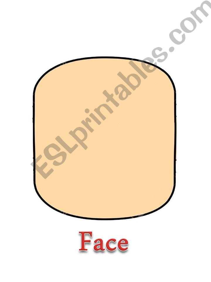PARTS OF THE FACE FLASHCARDS powerpoint