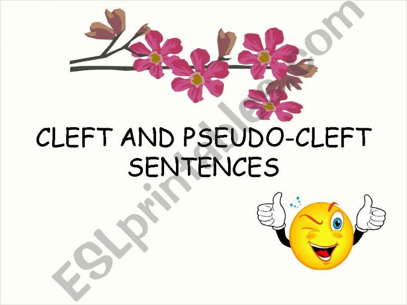 cleft and pseudo cleft sentences