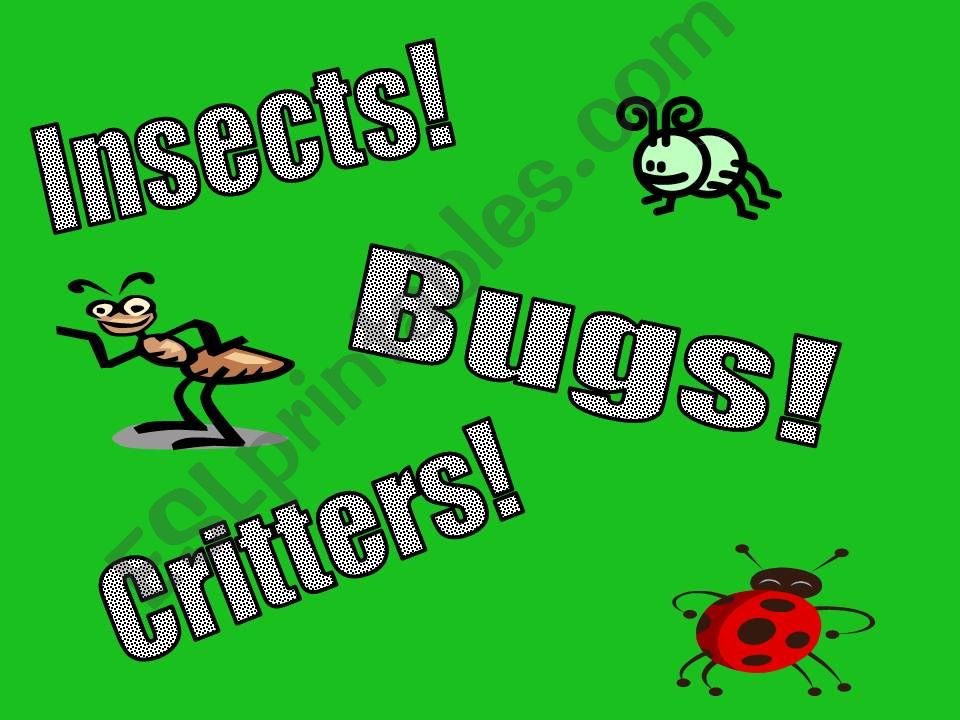 The World of Insects powerpoint