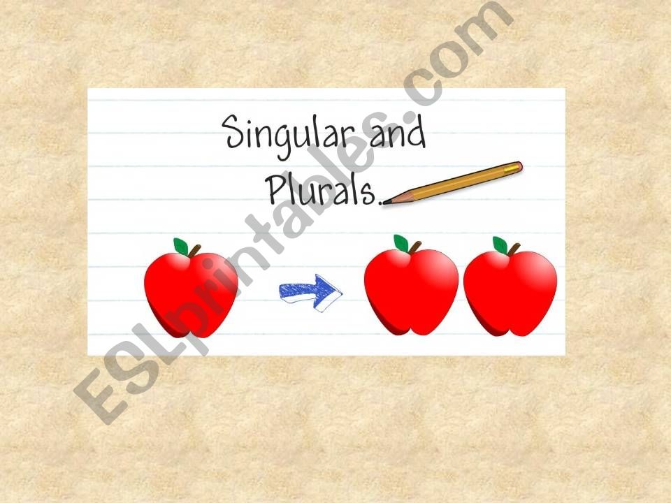 Singular and plural nouns powerpoint