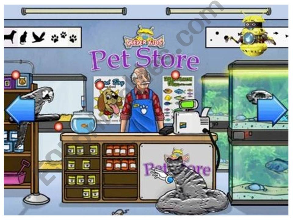 At he Pet Store powerpoint
