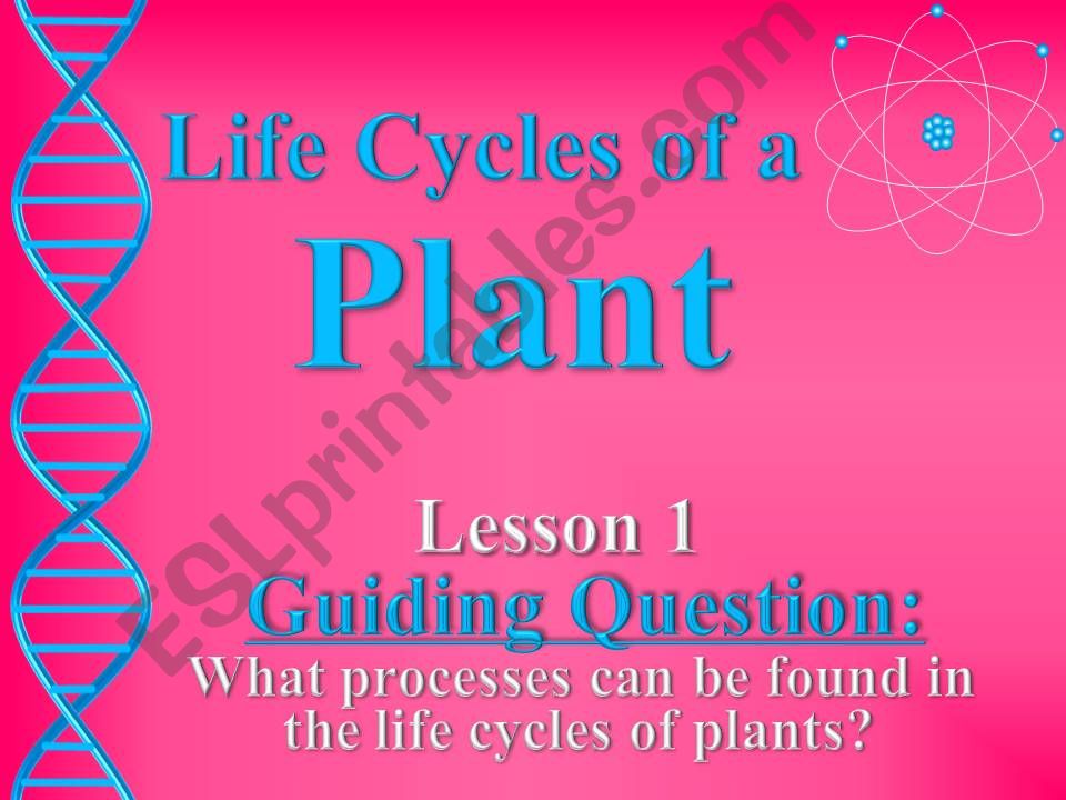 Plant Life Cycles  powerpoint