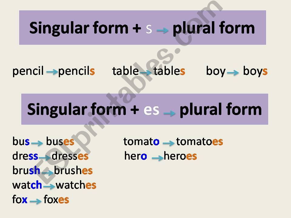 plural of nouns powerpoint