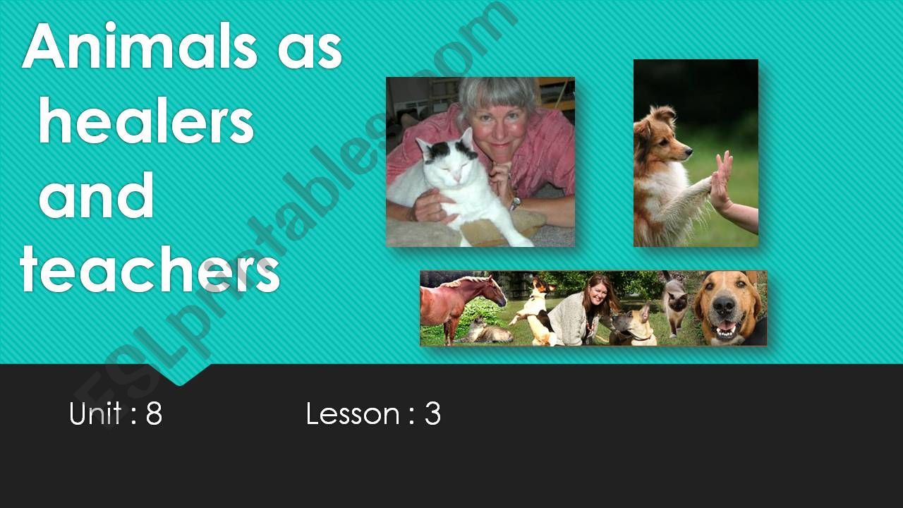 animals as healers  powerpoint