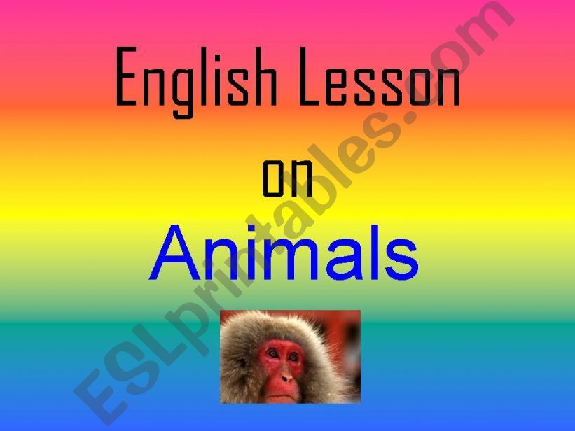 Animals  powerpoint