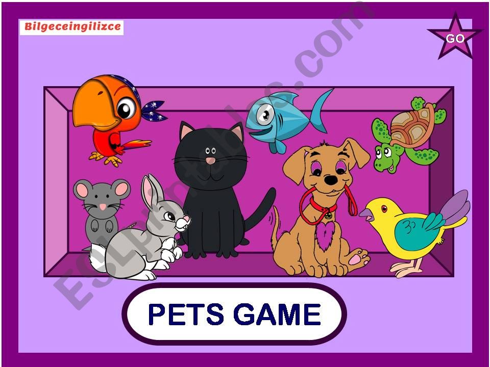 PETS GAME powerpoint