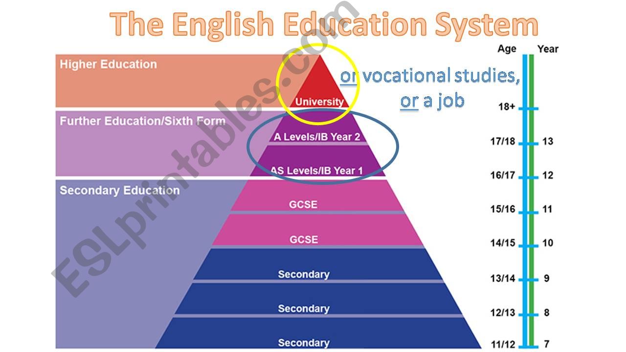 English Univerisities True False Quiz