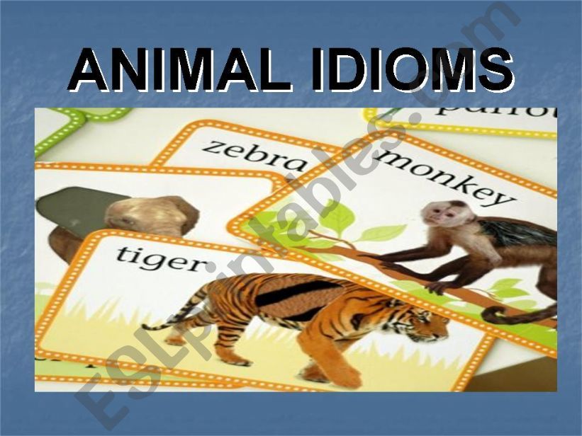 Animal Idioms 1 powerpoint